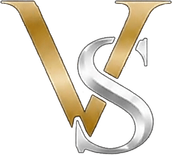 Vizyon Structure logosu